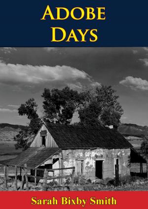 Cover of the book Adobe Days by Joseph Tenenbaum