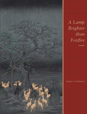 Book cover of A Lamp Brighter than Foxfire