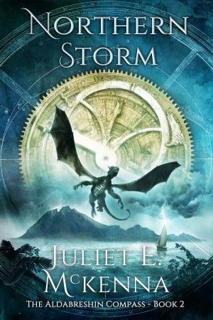 Cover of the book Northern Storm by Juliet E. McKenna