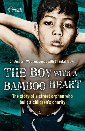 Cover of the book The Boy With A bamboo Heart by Abigail Rieley
