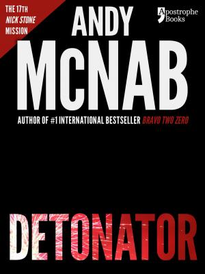Cover of the book Detonator (Nick Stone Book 17) by Christopher Robbins