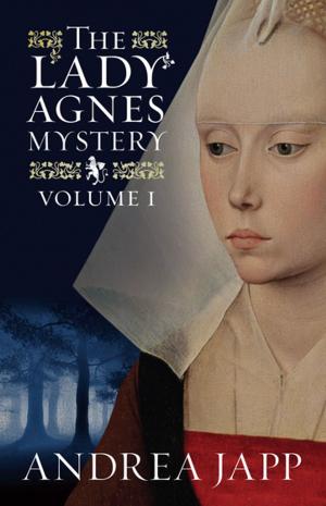 Cover of the book The Lady Agnes Mystery by Antoine Laurain