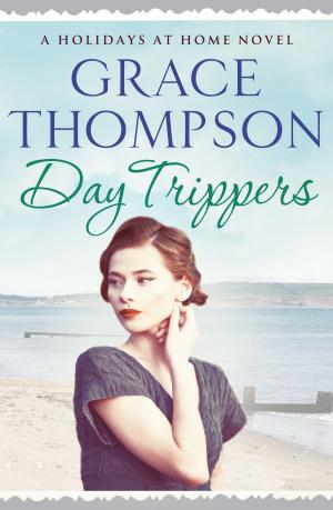 Cover of the book Day Trippers by Isabel Costello