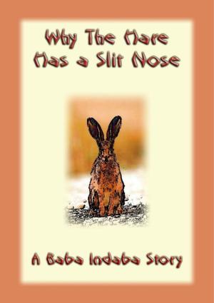 Cover of the book Why the Hare Has A Slit Nose by L. Frank Baum, Illustrated by John R. Neill