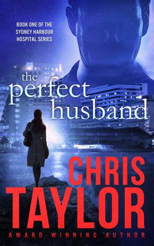 Cover of the book The Perfect Husband by Christine Rimmer