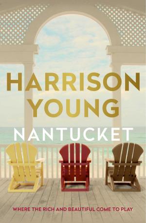 Cover of the book Nantucket by Dr. Lucy Blunt