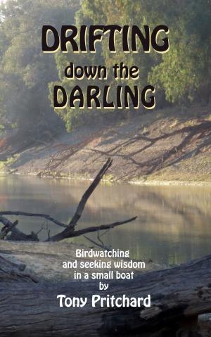 Cover of the book Drifting Down the Darling by Suzanne Westgate