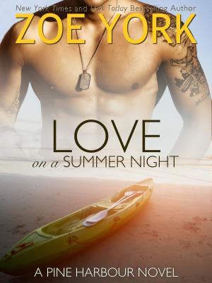 Cover of the book Love on a Summer Night by Matilda Janes