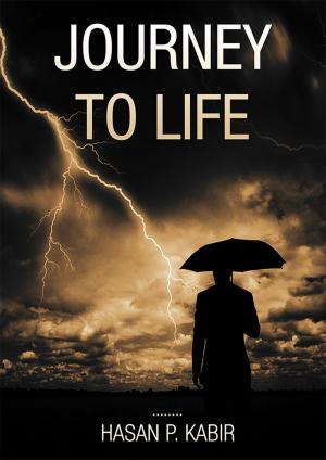 Cover of Journey to Life