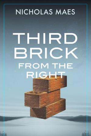 Cover of the book Third Brick from the Right by Valerie Gillen