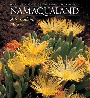 Cover of the book Namaqualand by Leanne Katzenellenbogen