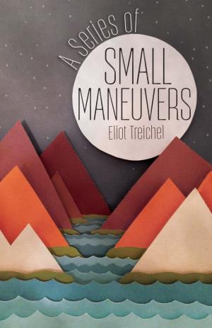 Cover of the book A Series of Small Maneuvers by John Eliot Allen, Marjorie Burns, Scott Burns