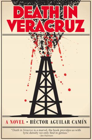 Cover of the book Death in Veracruz by Yehuda Nir
