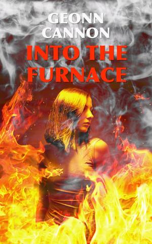 Cover of the book Into the Furnace by Adrian J. Smith