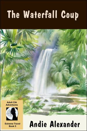 Cover of the book The Waterfall Coup by Andie Alexander
