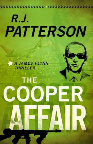 Cover of the book The Cooper Affair by Dennis Wayne Sprague
