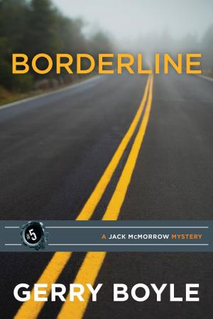 Cover of the book Borderline: A Jack McMorrow Mystery by Ardeana Hamlin