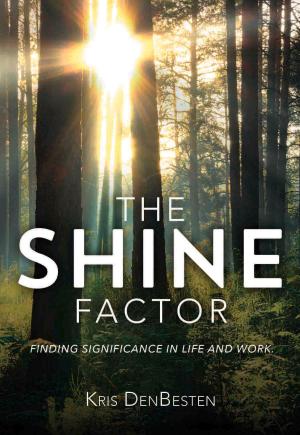 Cover of the book The Shine Factor by Sinovuyo Mbonda