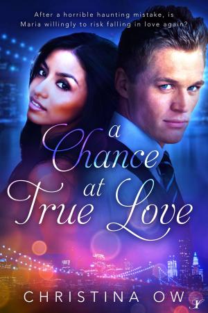 Cover of the book A Chance at True Love by Grea Warner