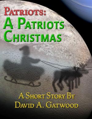 Cover of the book A Patriots Christmas by Chris Twain