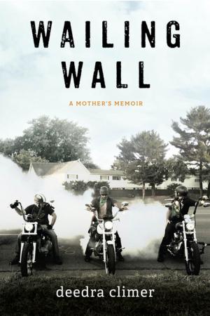 Cover of the book Wailing Wall by Susan K. Hamilton