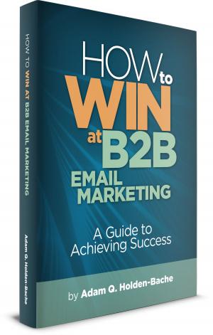 Cover of the book How To Win At B2B Email Marketing: A Guide To Achieving Success by Marketing Buds