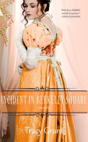 Cover of the book The Incident in Berkeley Square by D F Roberts