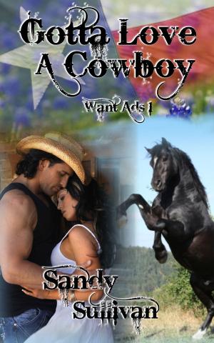 Book cover of Gotta Love a Cowboy