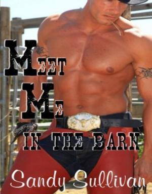 Cover of the book Meet Me in the Barn by Isis Cole