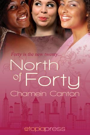 bigCover of the book North of Forty by 
