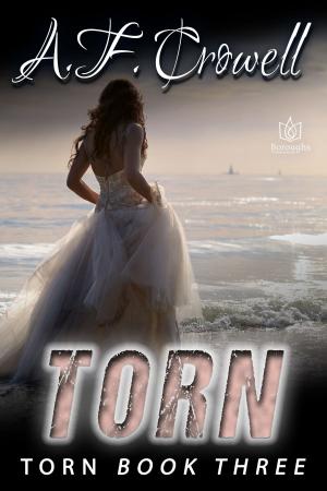 Cover of the book Torn by Katy Regnery