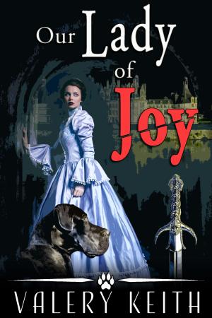 Cover of the book Our Lady of Joy by Susan Reid