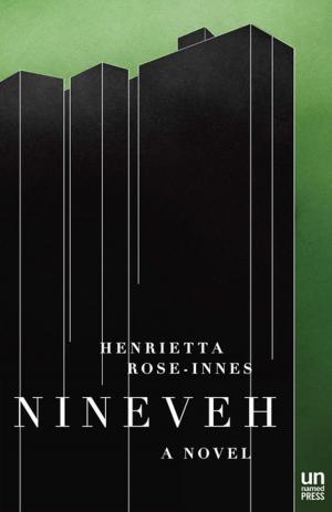 bigCover of the book Nineveh by 