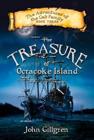 Cover of the book The Treasure of Ocracoke Island by Colin Mallard