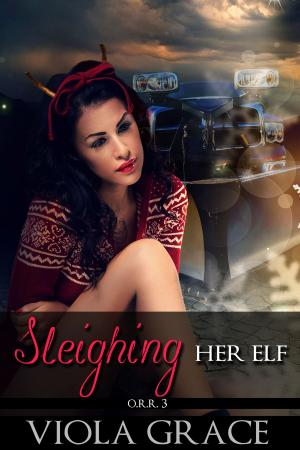 Cover of the book Sleighing Her Elf by Fisher Amelie