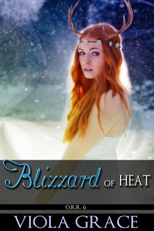 Cover of the book Blizzard of Heat by R. Brady Frost