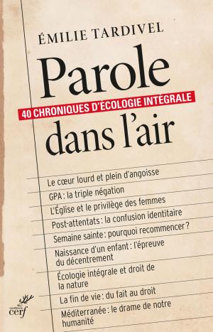 Cover of the book Paroles dans l'air by Marie-axelle Clermont, Benoit Clermont