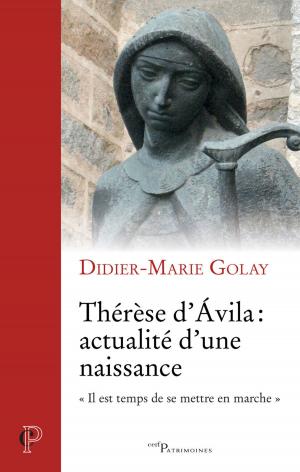 Cover of the book Thérèse d'Avila : actualité d'une naissance by Christophe Levalois