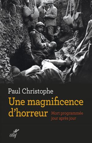 Cover of the book Une magnificence d'horreur by Christophe Levalois