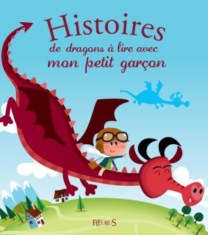 Cover of the book Histoires de dragons à lire avec mon petit garçon by Vincent Villeminot, Claire Renaud
