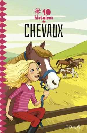 Book cover of 10 histoires de chevaux
