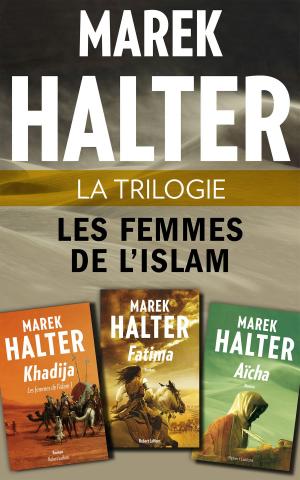 Cover of the book La Trilogie Les Femmes de l'islam by Patrick POIVRE D'ARVOR