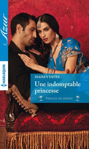 Cover of the book Une indomptable princesse by Lee Tobin McClain