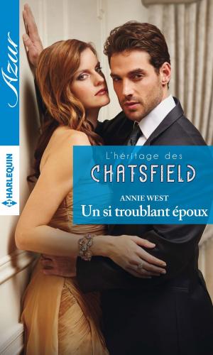 Book cover of Un si troublant époux