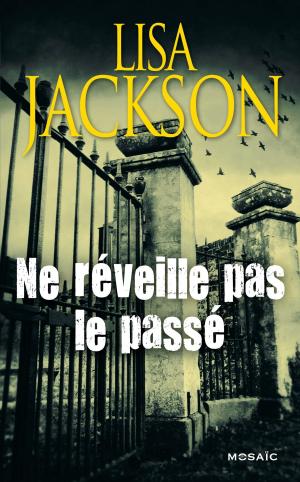 Book cover of Ne réveille pas le passé