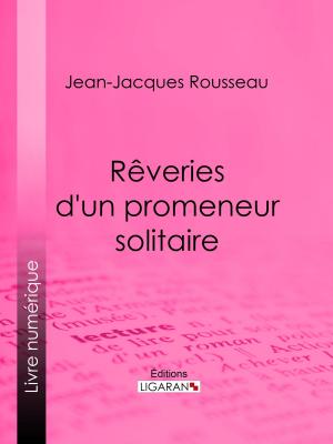 Cover of the book Rêveries d'un promeneur solitaire by Juliette Adam, Ligaran