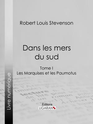Cover of the book Dans les mers du sud by Paul Arène, Ligaran