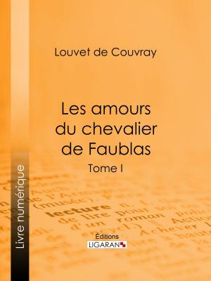 Cover of the book Les amours du chevalier de Faublas by Charles Nodier, Ligaran