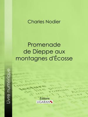 Cover of the book Promenade de Dieppe aux montagnes d'Ecosse by Émile Zola, Ligaran
