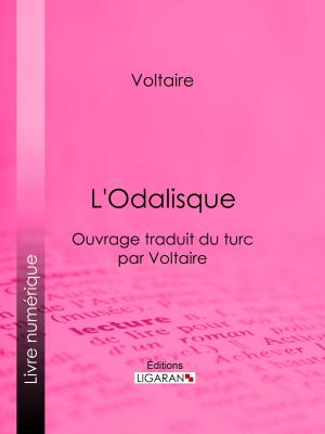 Cover of the book L'Odalisque by Alphonse Daudet, Ligaran